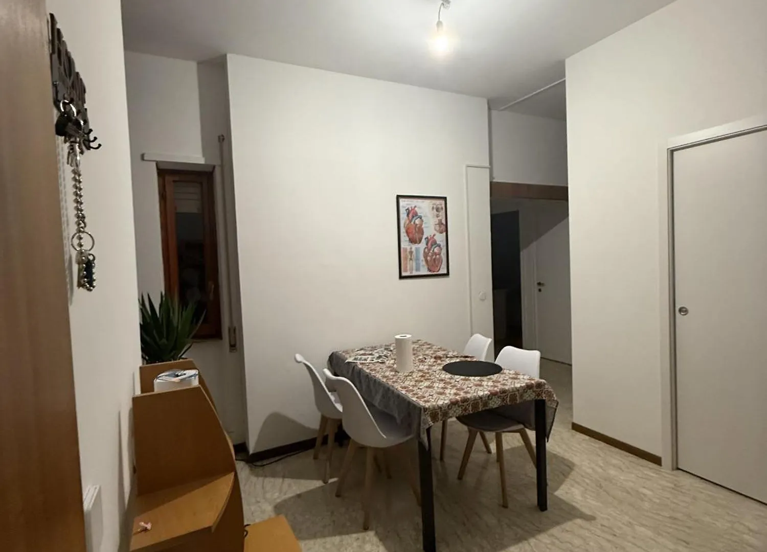 Alessio House Apartment Rome Italy
